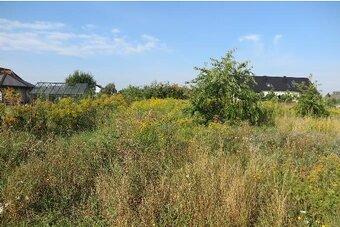 Działka budowlana w Gorzowie Wielkopolskim - 3