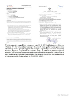 Syndyk sprzeda garaż w Bisztynku - 3