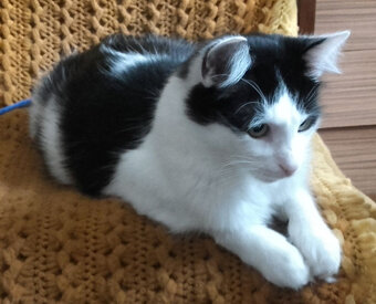 Długowłody słodziak Funio 11 mies. - 3