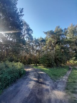 Działki budowlane 600m2, Józefów, pod lasem - 3