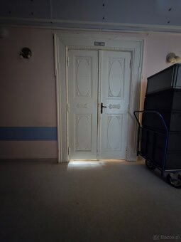 Antyczne drzwi drewniane dwuskrzydłowe z ościeżnicą – kamien - 3