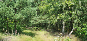 Sprzedam działki - 3
