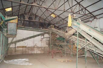 Linia do sortowania ziemniaków cebuli 25t/h sprzedam na elem - 3