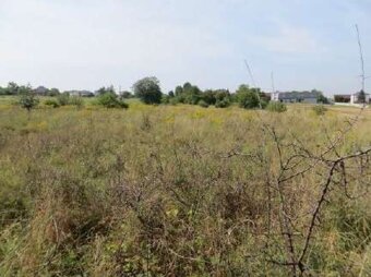 Syndyk sprzeda nieruchomość - 3