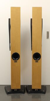 DYNAUDIO CONFIDENCE C2 - 3