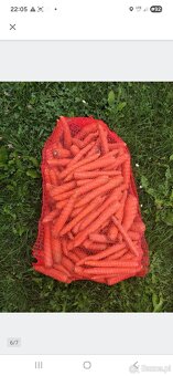 Warzywa i owoce wszystko - 3