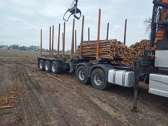 MAN TGS 33.510 6x4 Drewna lasu Umikov Epsilon 250z - 3