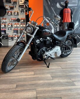 Harley davidson softail standard 2024 - 3