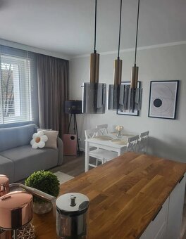 Mieszkanie o pow. 50m2, umeblowane, I p., ścisłe Śródmieście - 3