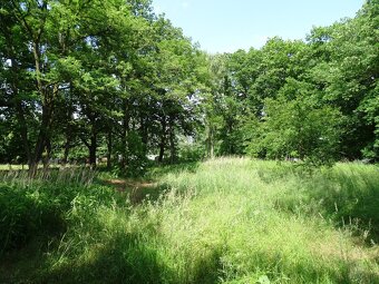 Działka pod inwestycję mieszkaniową, Zajączków - 3