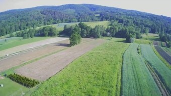 Lipnica Dolna - 7 hektarów 33 ary - 3