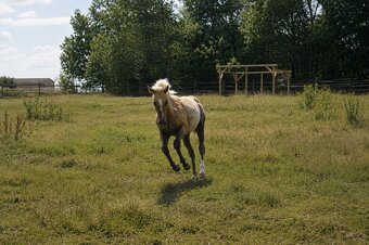 Qh - 3