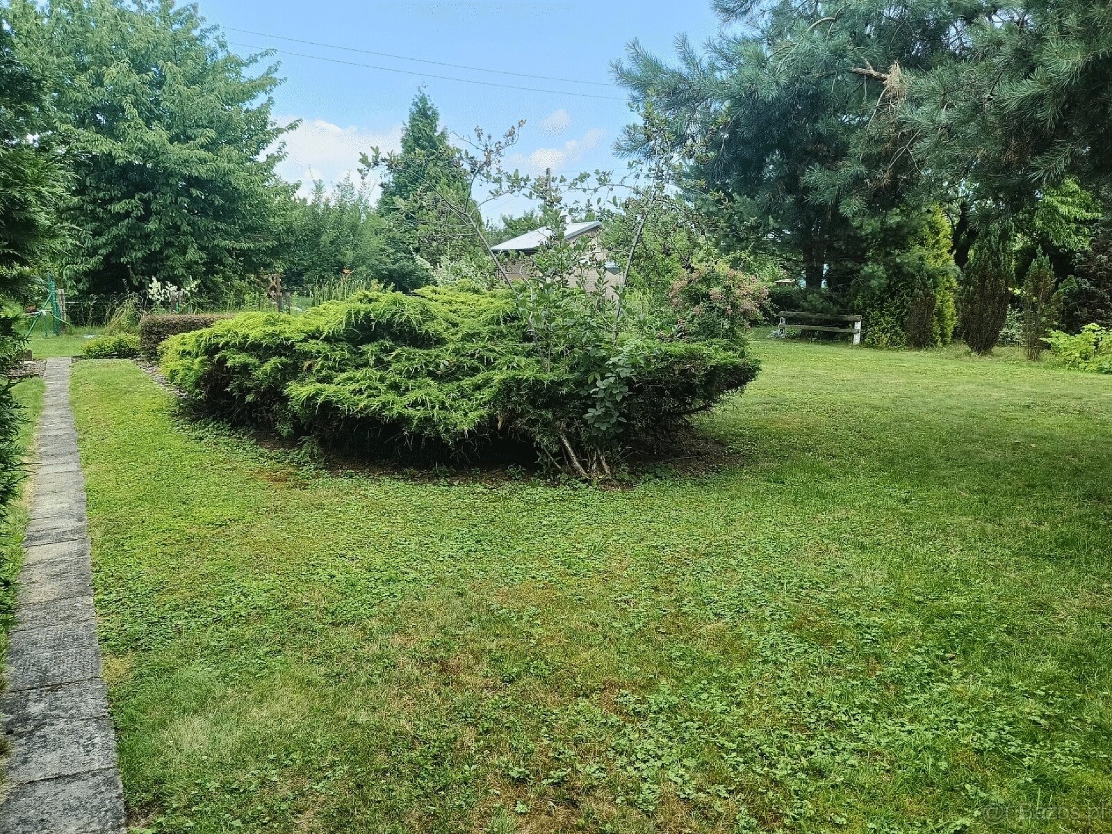 ROD "Słonecznik" Tarnów ul. Ostrogskich - 4