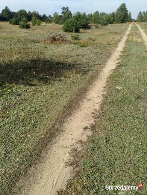 Działka 1050m gm. Aleksandrów Łódzki - Ciężków - 4