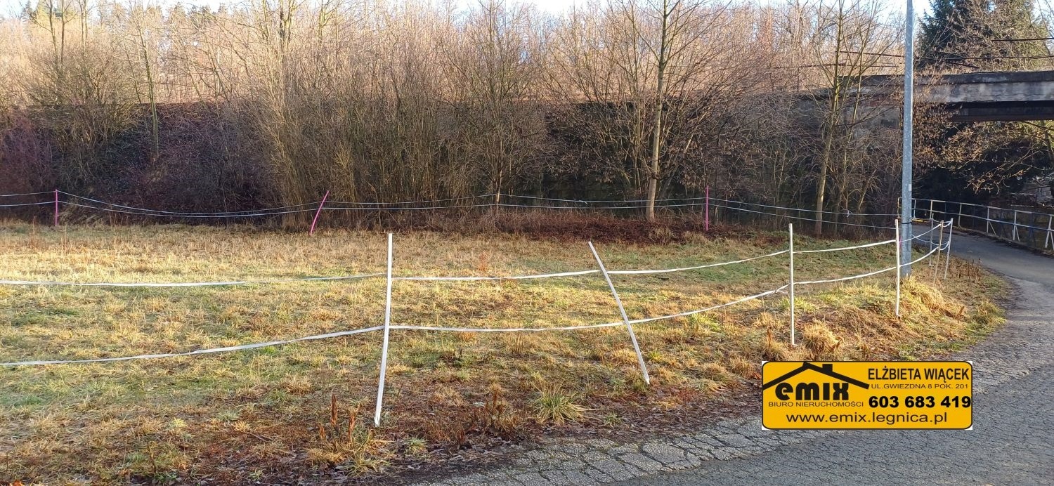 Działka 15 ar w Starej Kraśnicy k. Świerzawy - 4