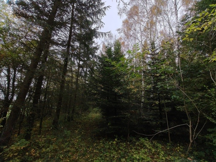 Niezabudowana działka w Kierzkowie, gmina Choczewo, woj. pom - 4