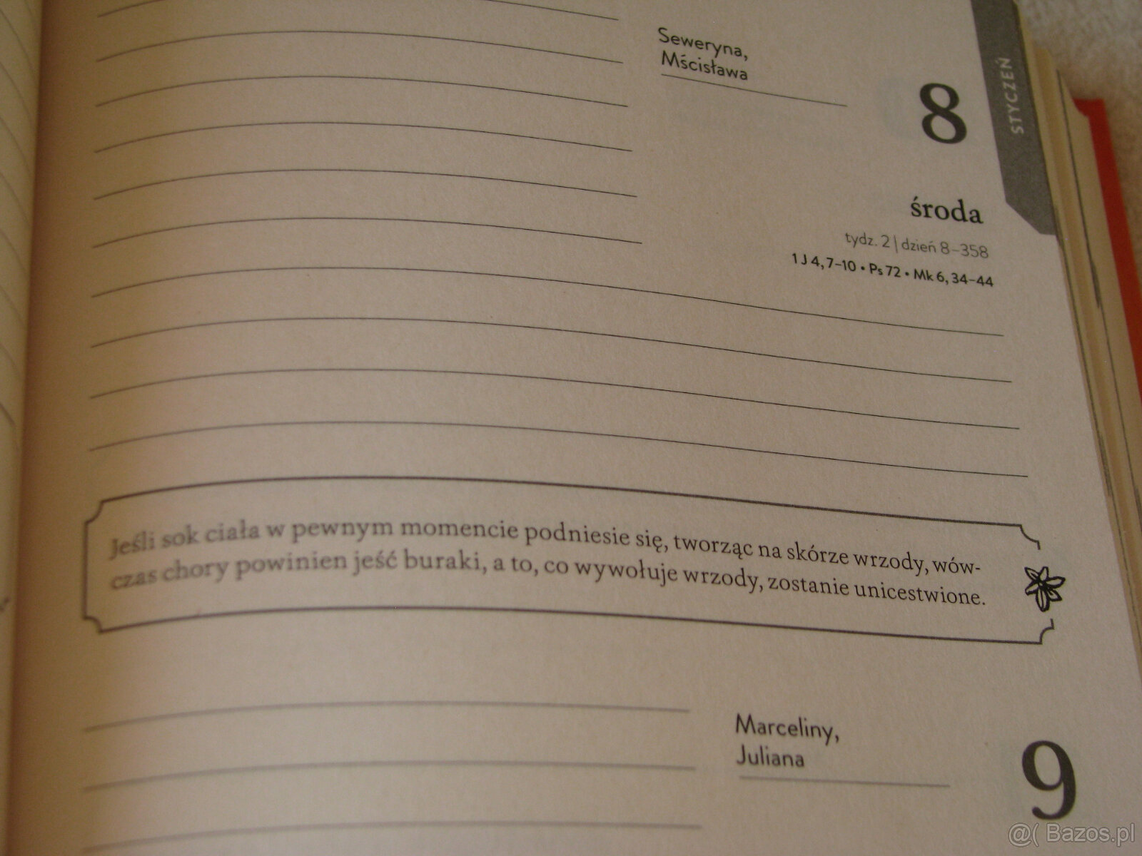 Kalendarz książkowy Rok ze Świętą Hildegardą 2020 - 4