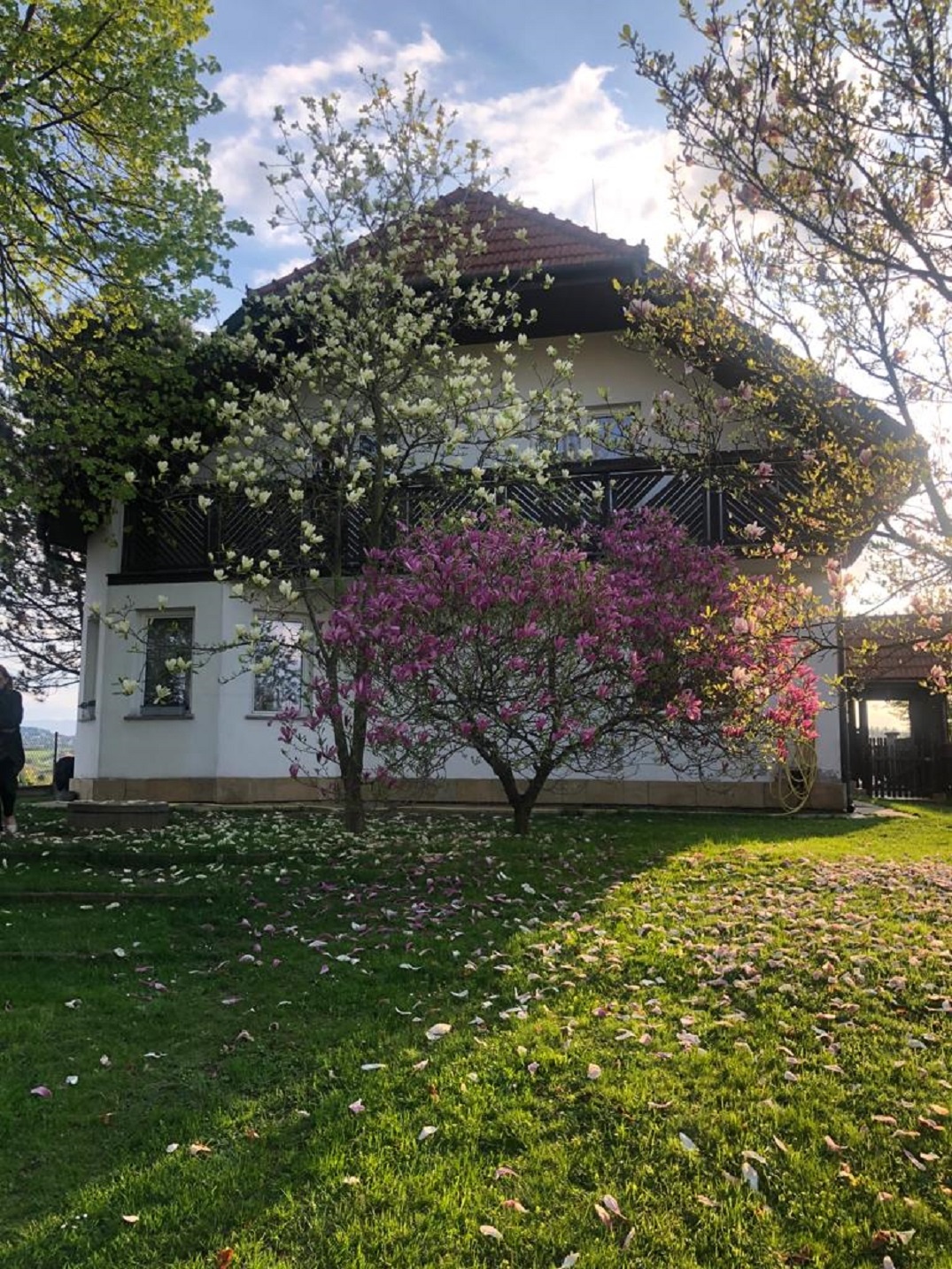 Komfortowy dom z 2 garażami i ogrodem Nowy Sącz - 4