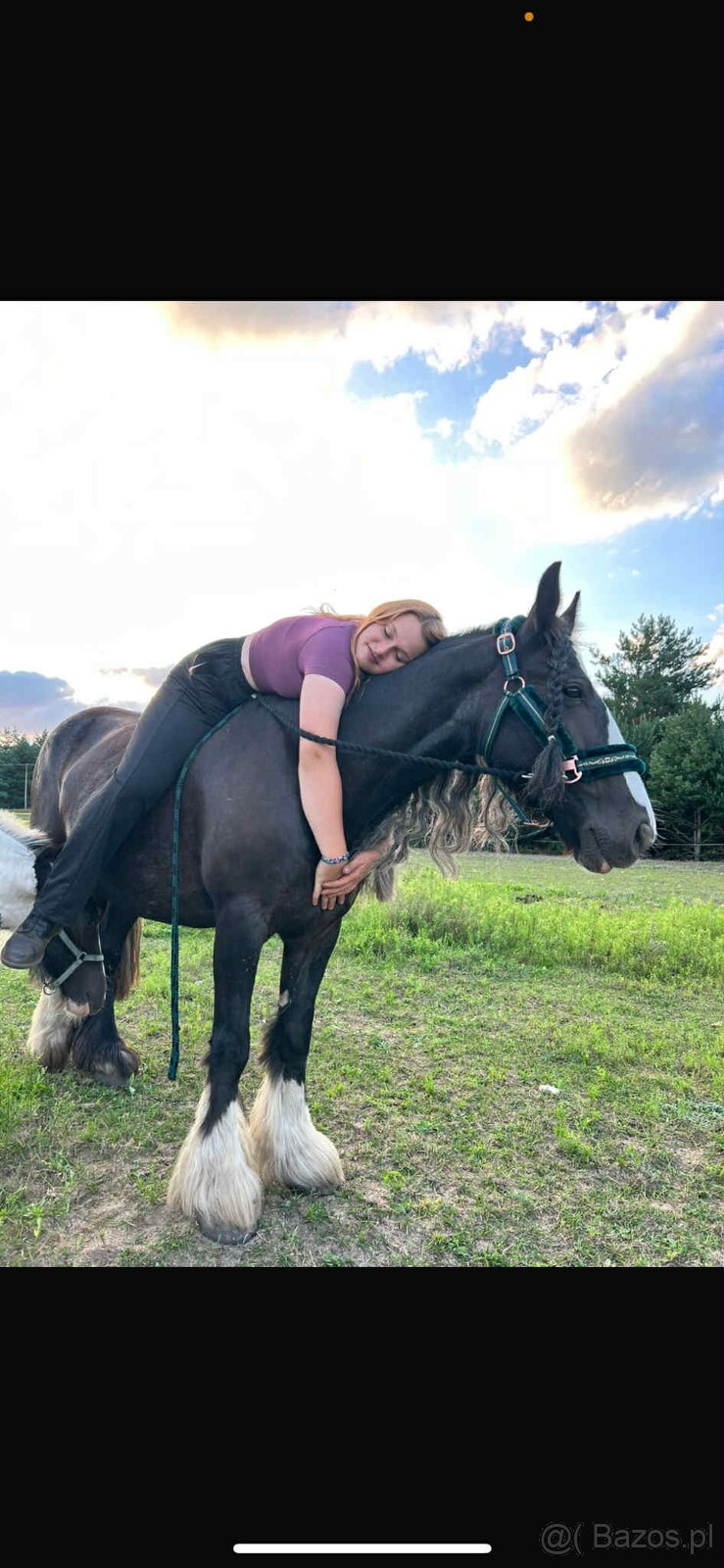 Tinker źrebak ogierek - 4