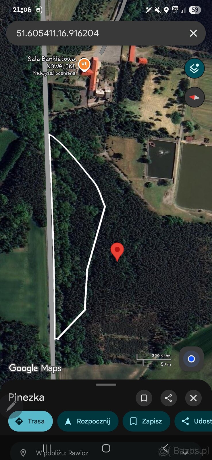 Sprzedam działki leśne - 4