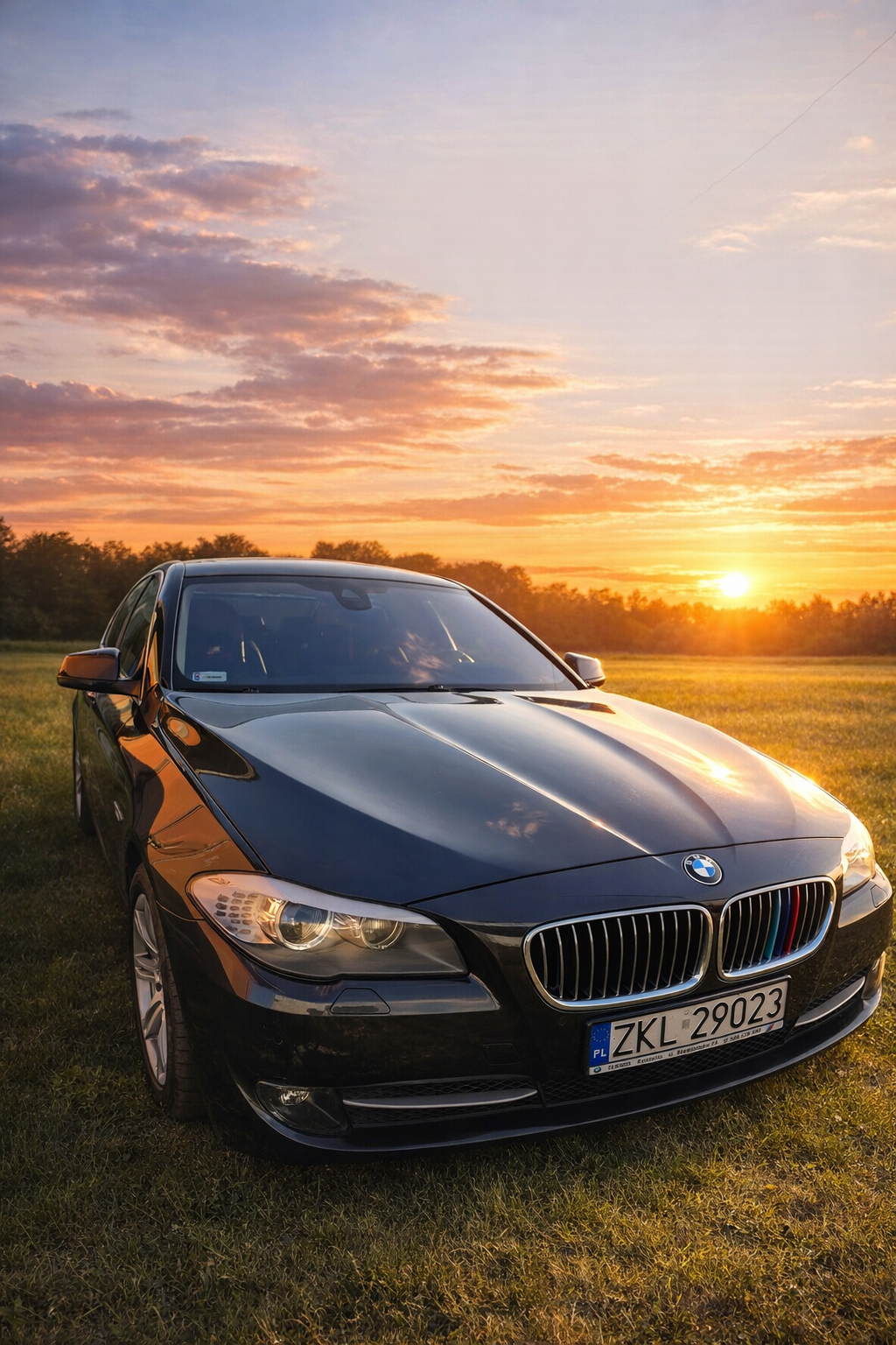 🔷 BMW 525xd xDrive 218 KM 🔷 ✔ WEBASTO ✔ HUD ✔ Soft Close ✔ - 4