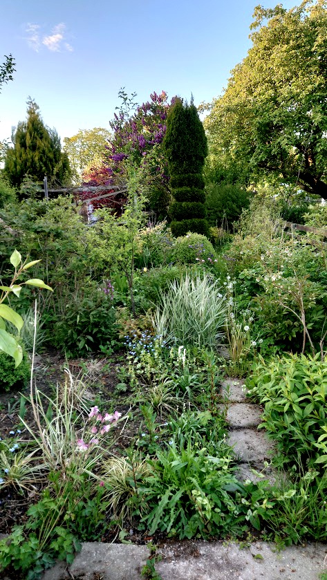 SPRZEDAM Działkę ogrodową w Słupsku 447m². - 4