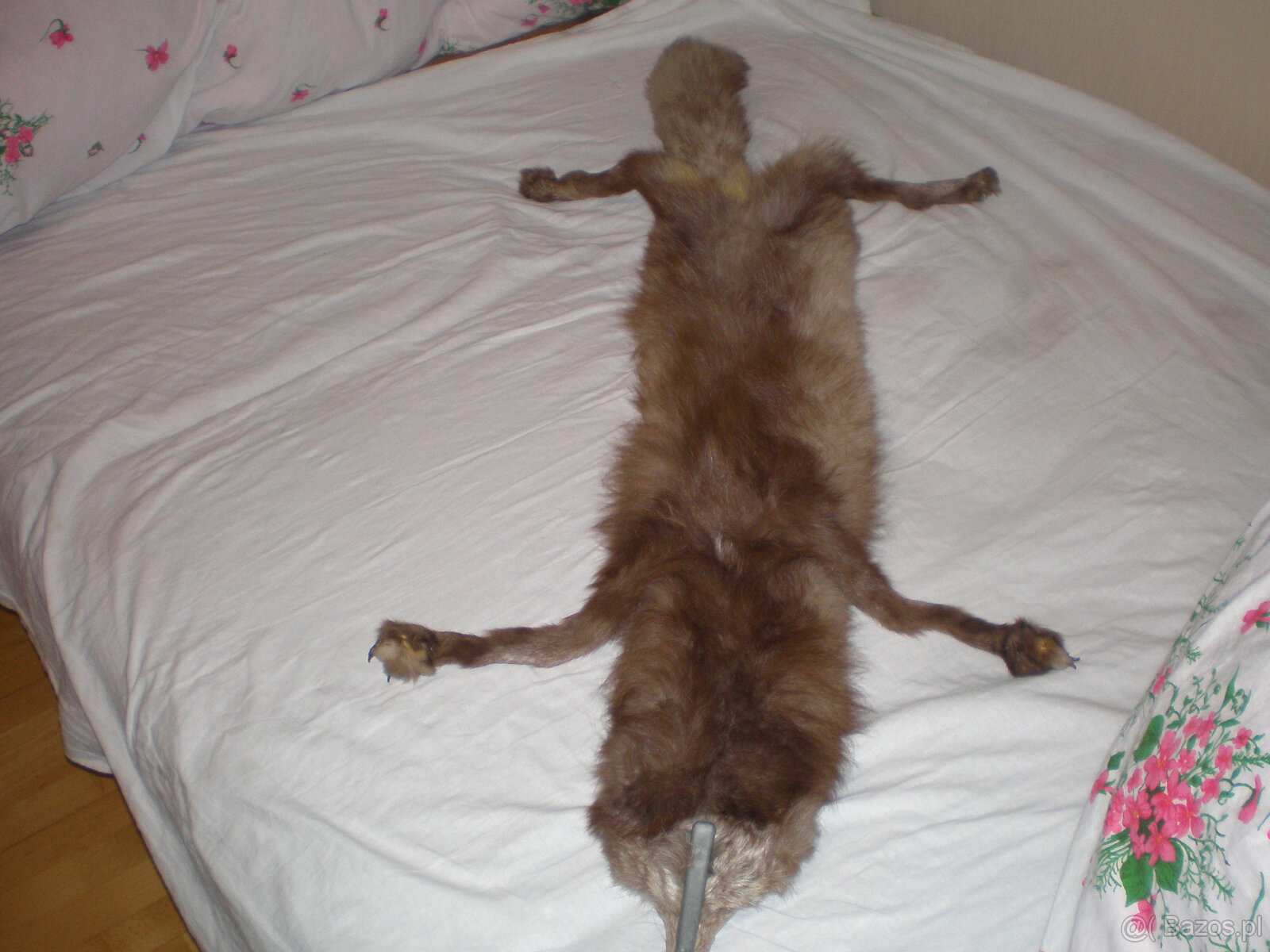 Sprzedam kołnierz z lisa,używany, stan bardzo dobry. - 4