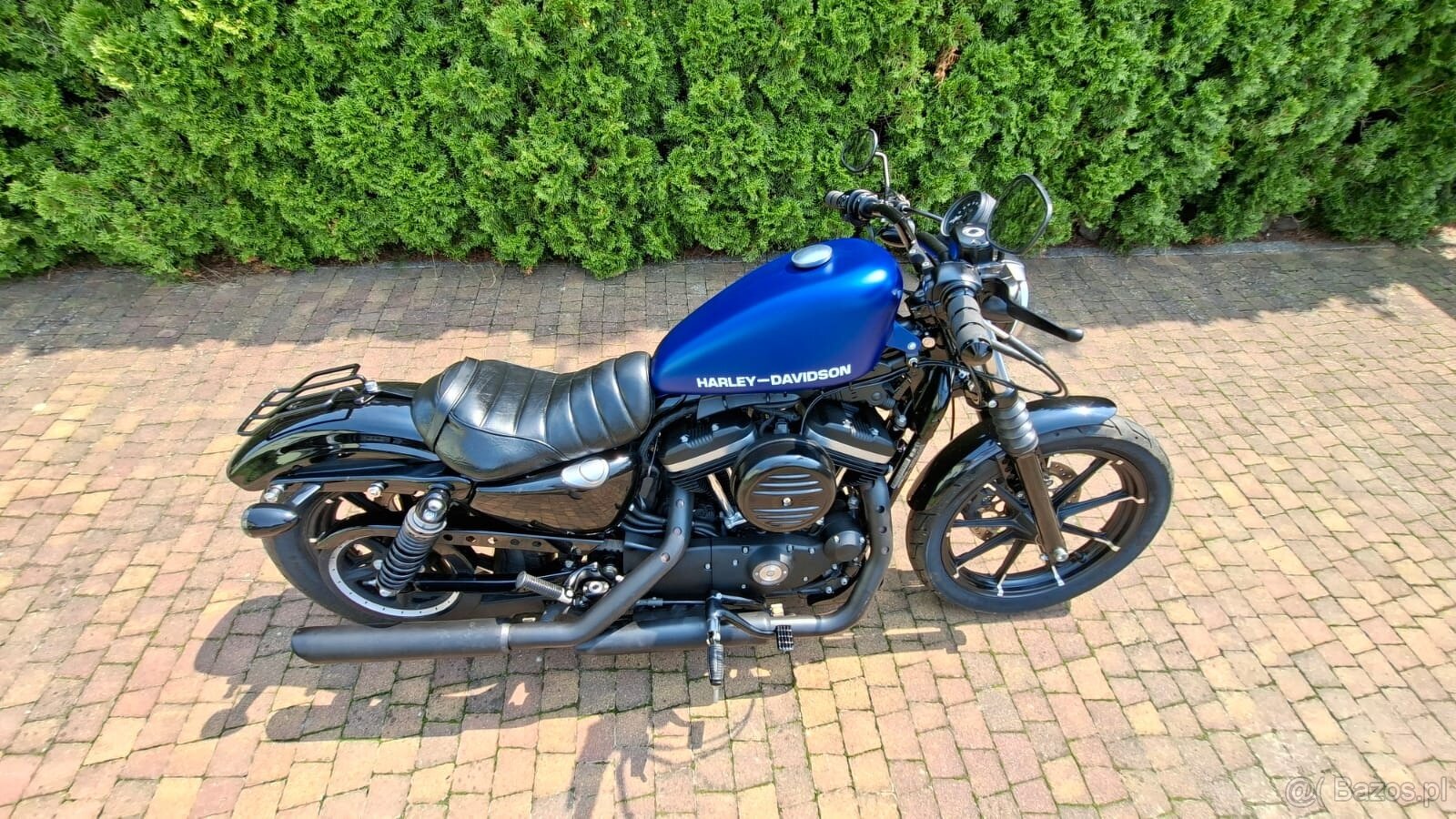 Sportster IRON Harley Davidson - 4