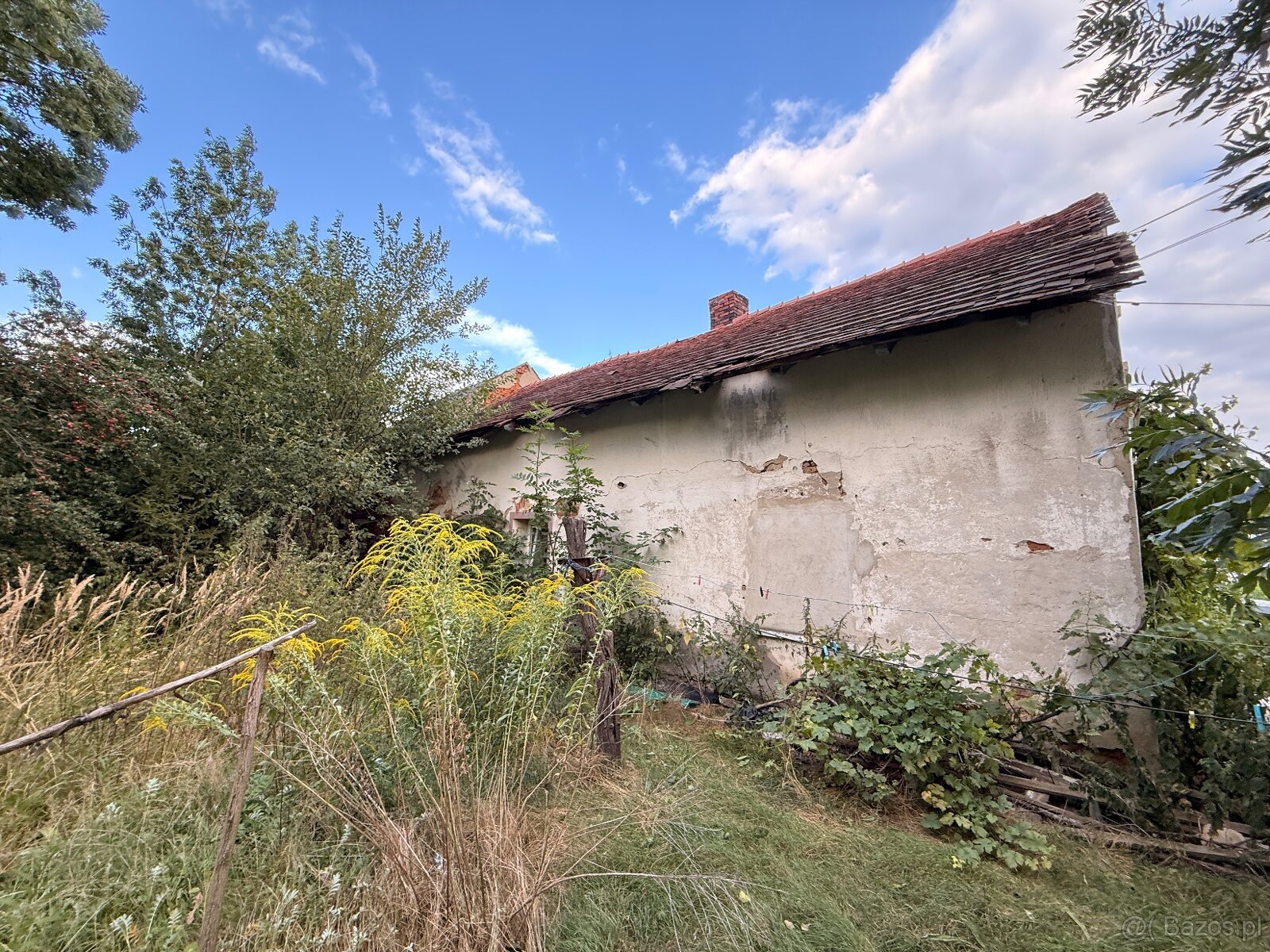 Dom z dużą działką przy polsko-czeskiej granicy - 4