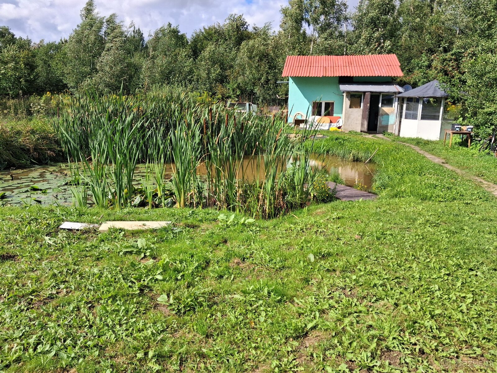 Sprzedam działkę z dwoma domami - 4