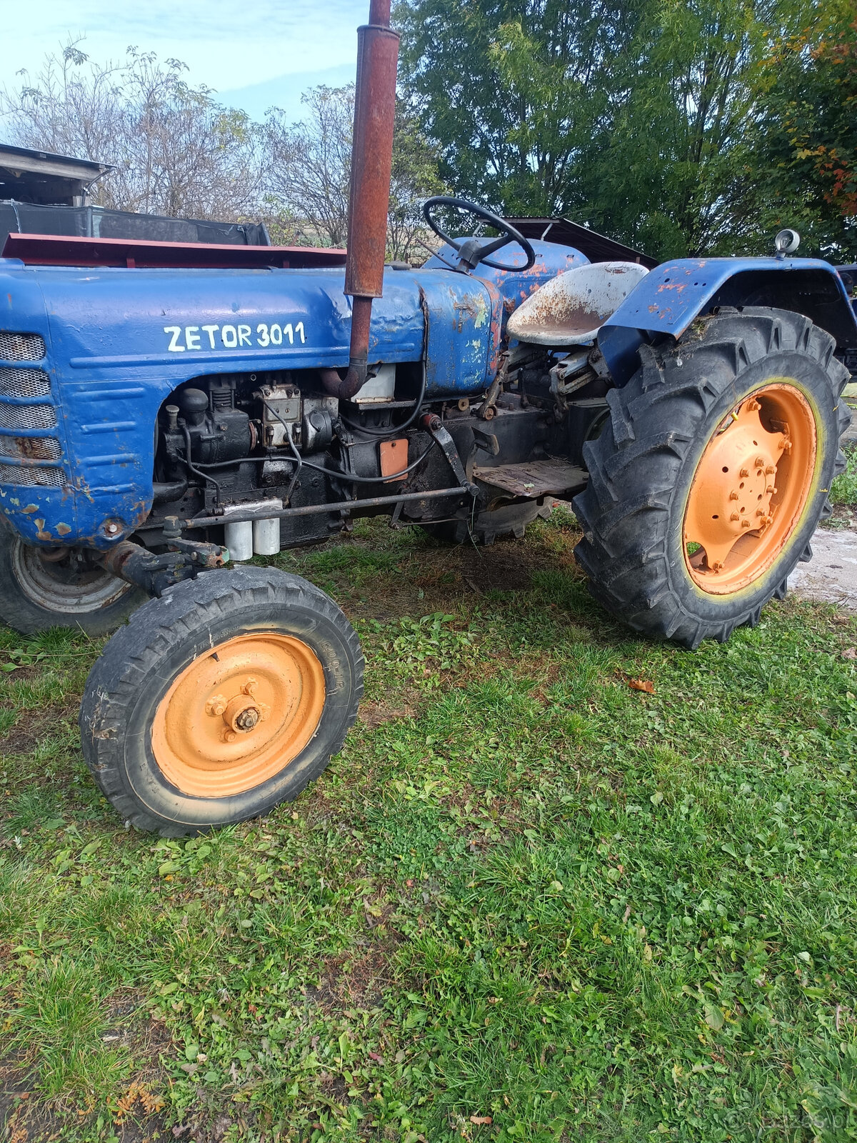 zetor 3011 ciapek trzydziestaka - 4
