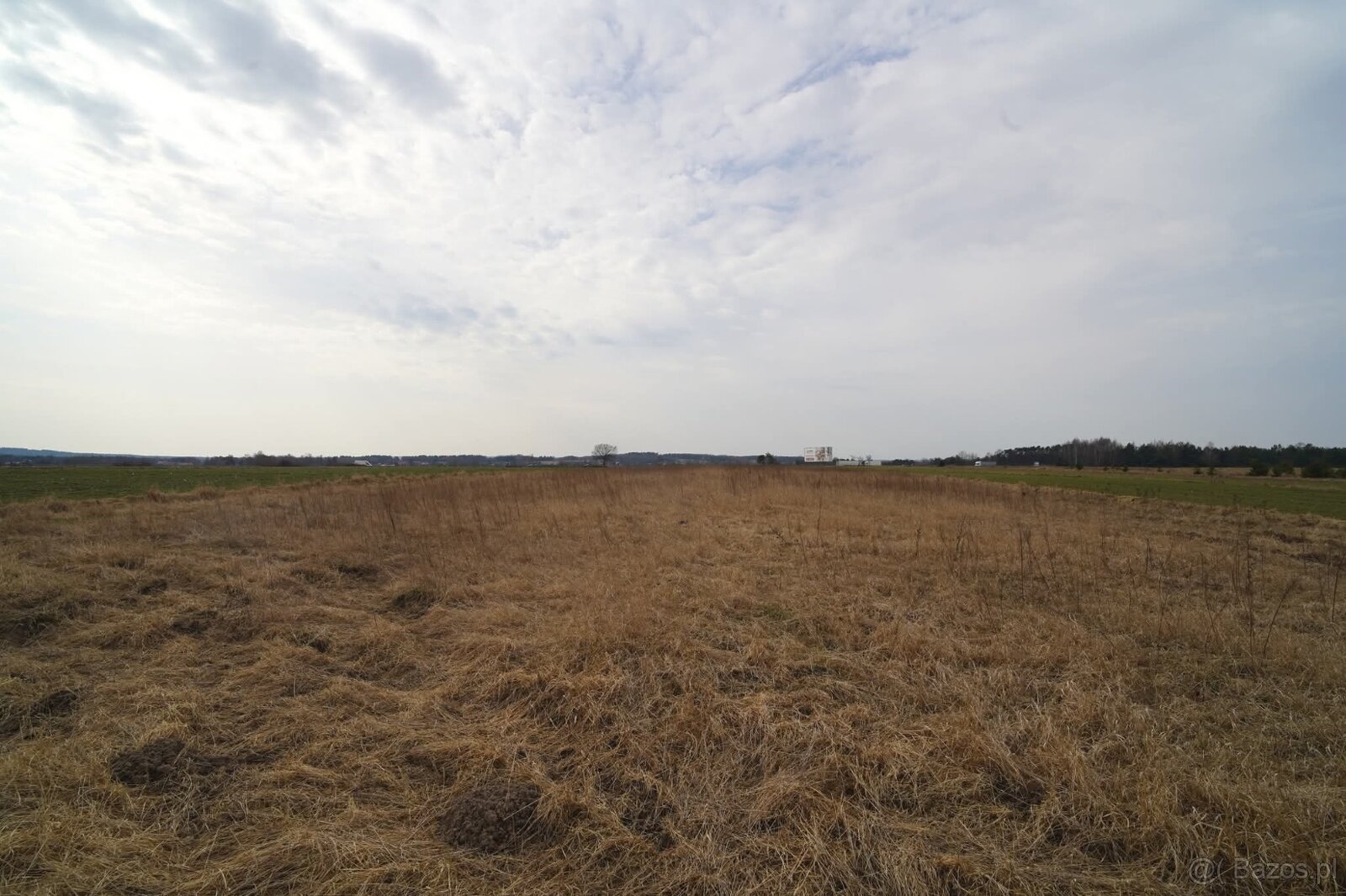 Pilnie sprzedam ziemię rolną gm. Kościelec - 4