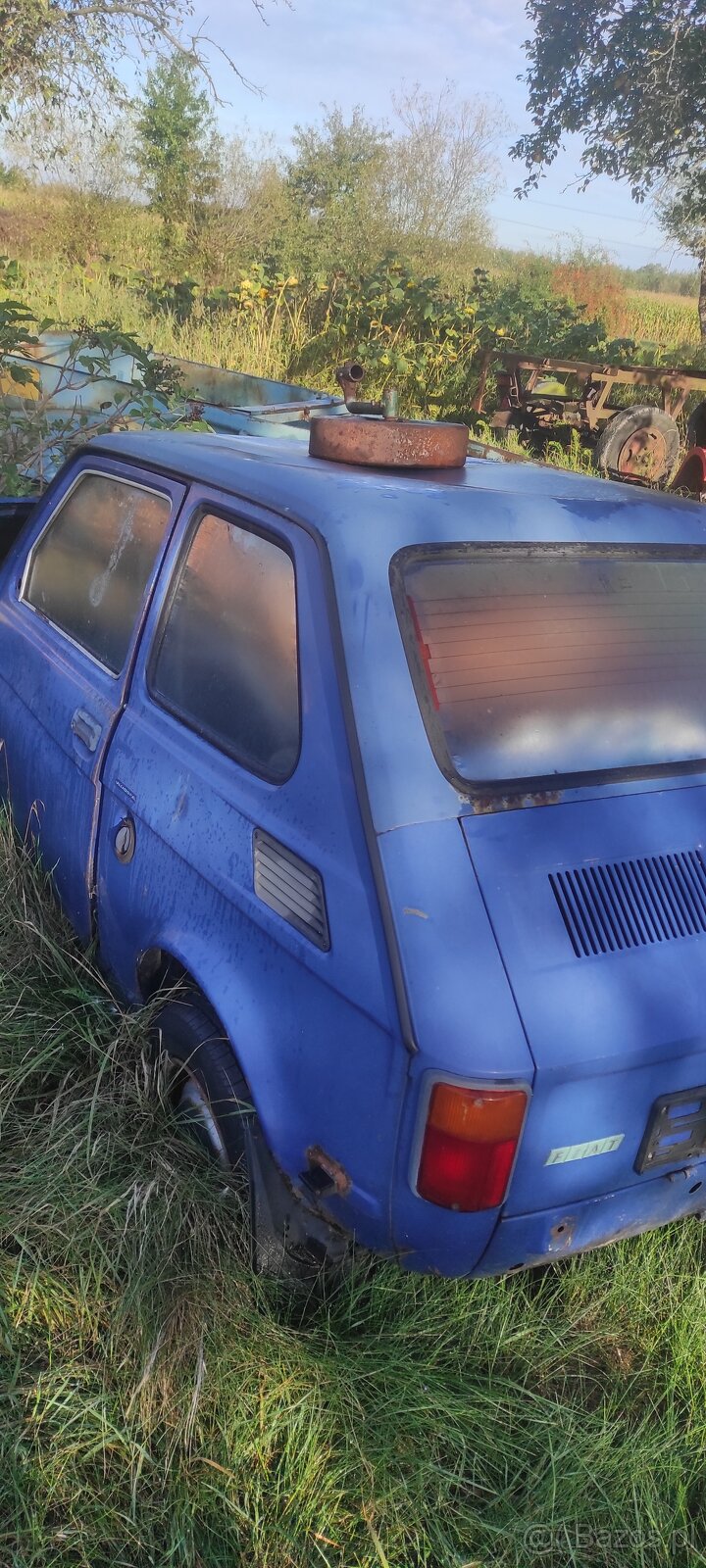 Maluszek do ogrodka /karoseria/ - 4