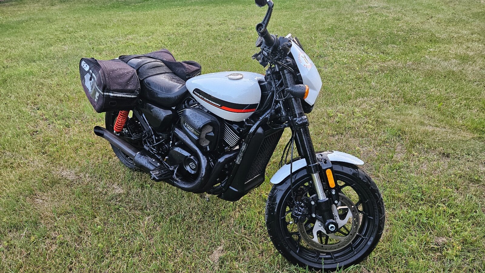 🏍️ Harley-Davidson Street Rod 750 (XG750A) – I właściciel - 4