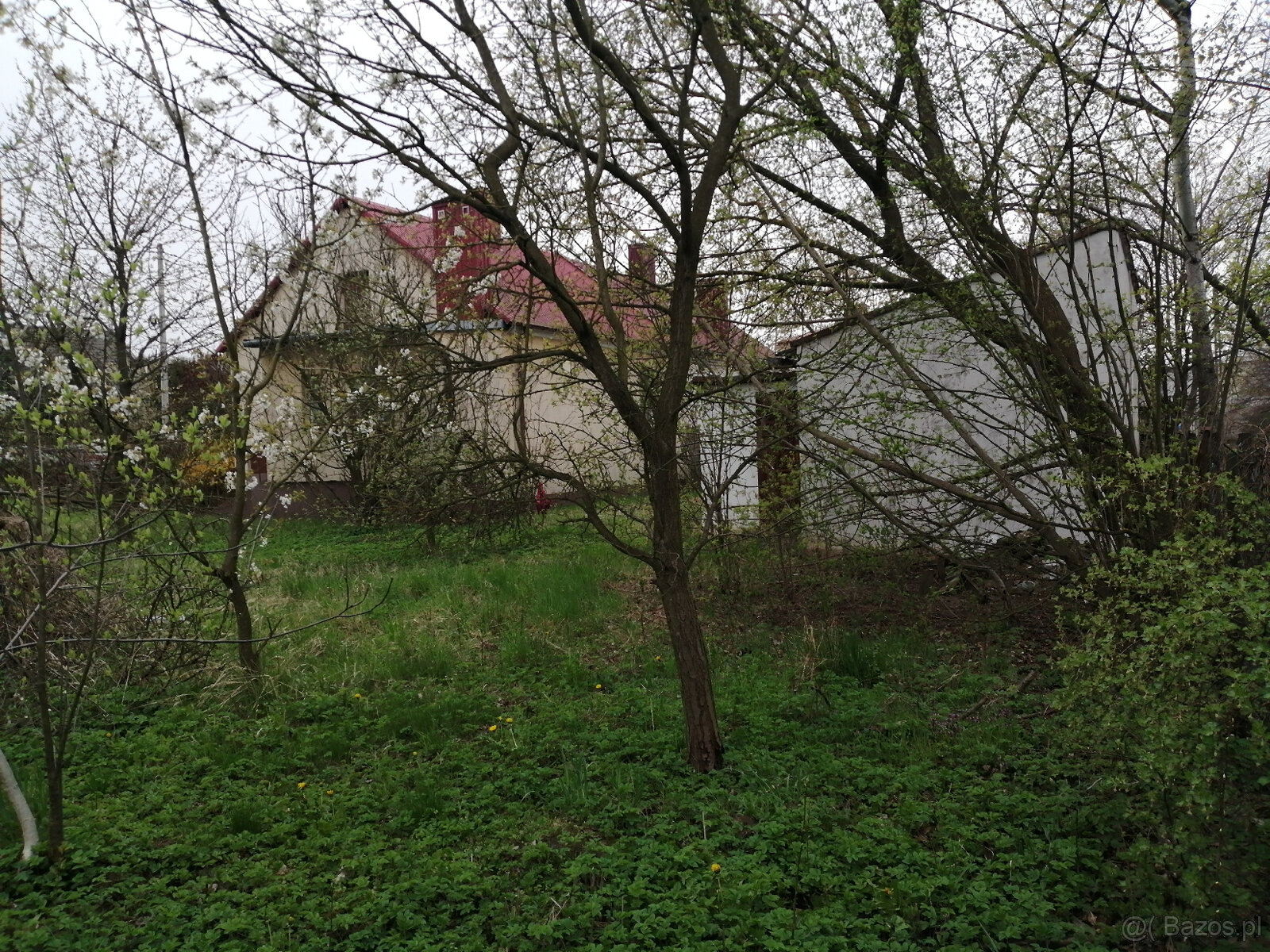 Sprzedam dom jednorodzinny w Ćmielowie - 4