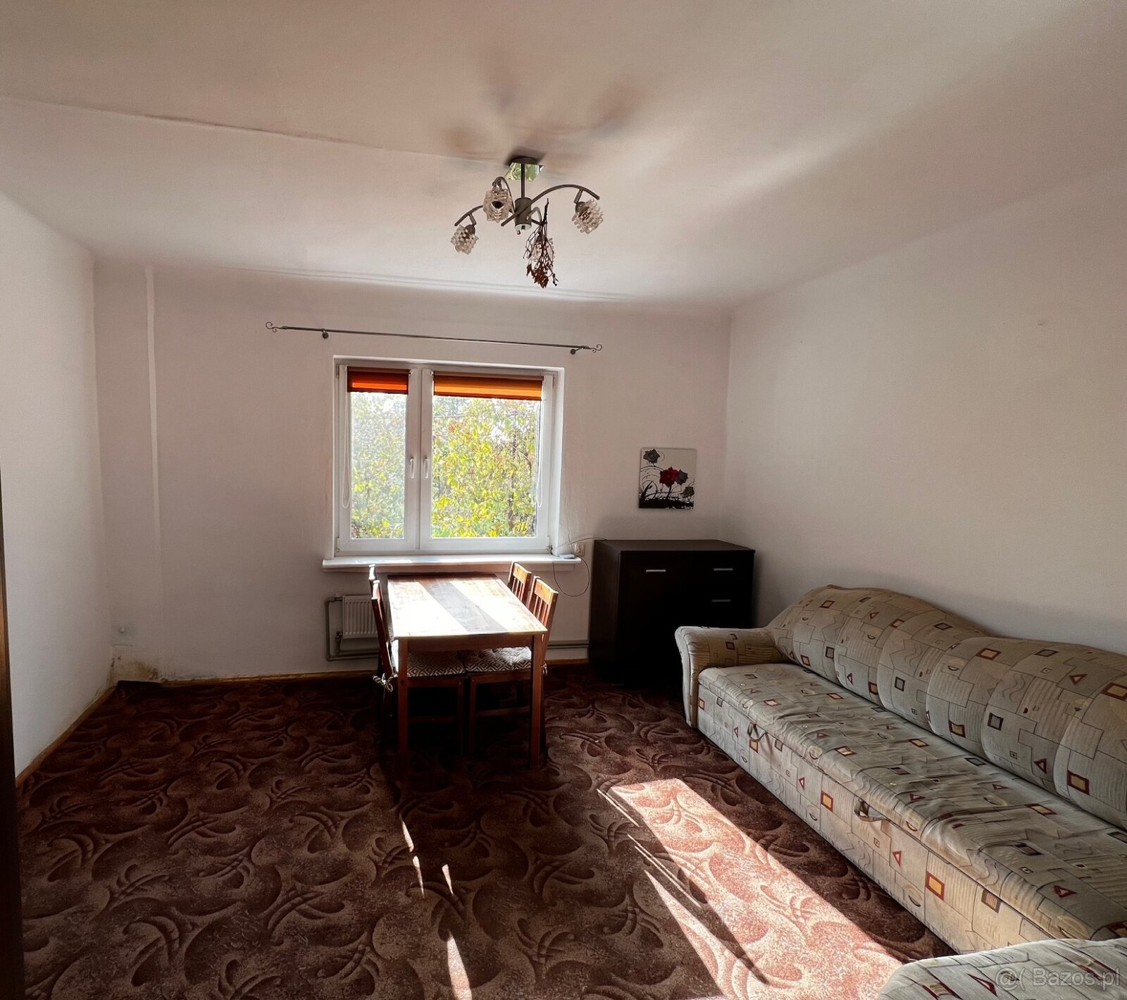 Dom blisko Warszawy – teren ogrodzony idealny dla Ciebie - 4