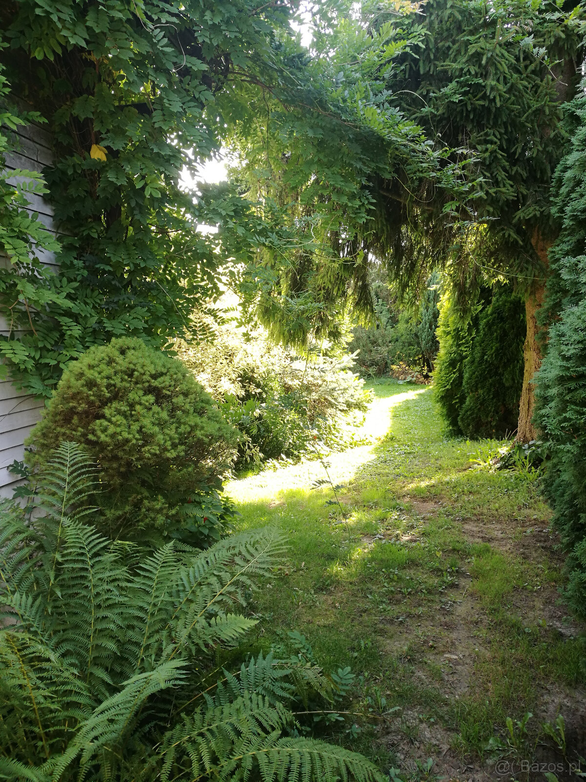 sprzedam działkę - 4