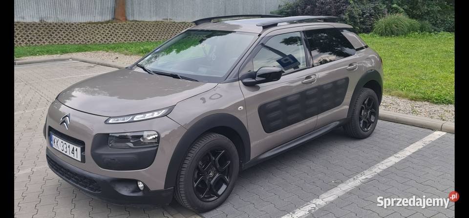 Cactus Sprawdz go w warsztacie na godziny tel. 519 853 348 - 4