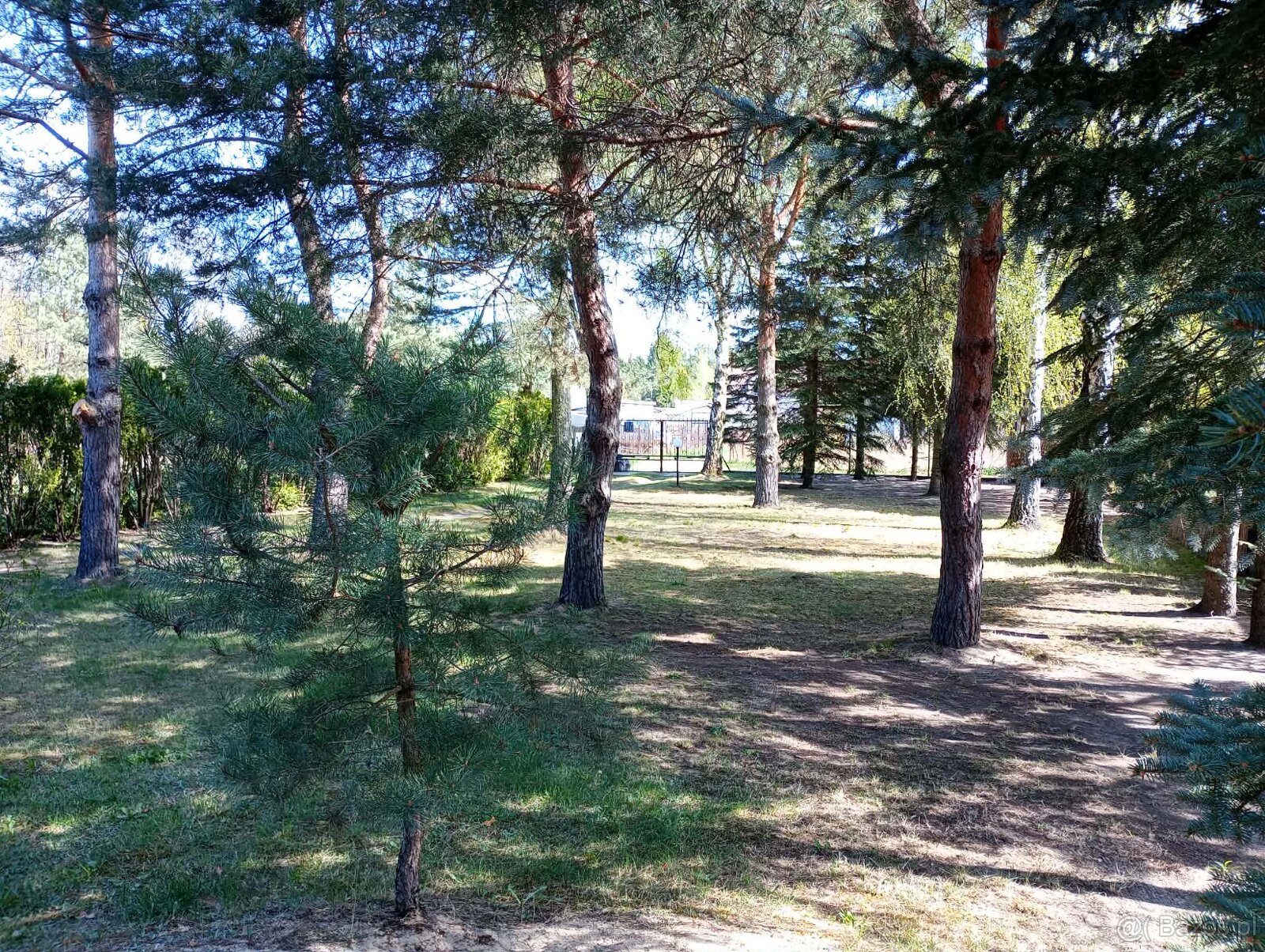 Dom całoroczny + działka 1220 m² | Zalew Zegrzyński | sprzed - 4