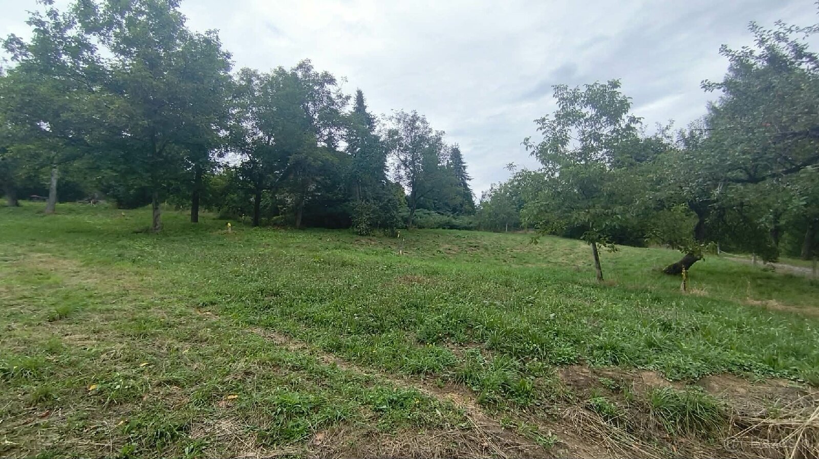 Działka bud. 19 arów- Janowice, powiat tarnowski, gm. Pleśna - 4