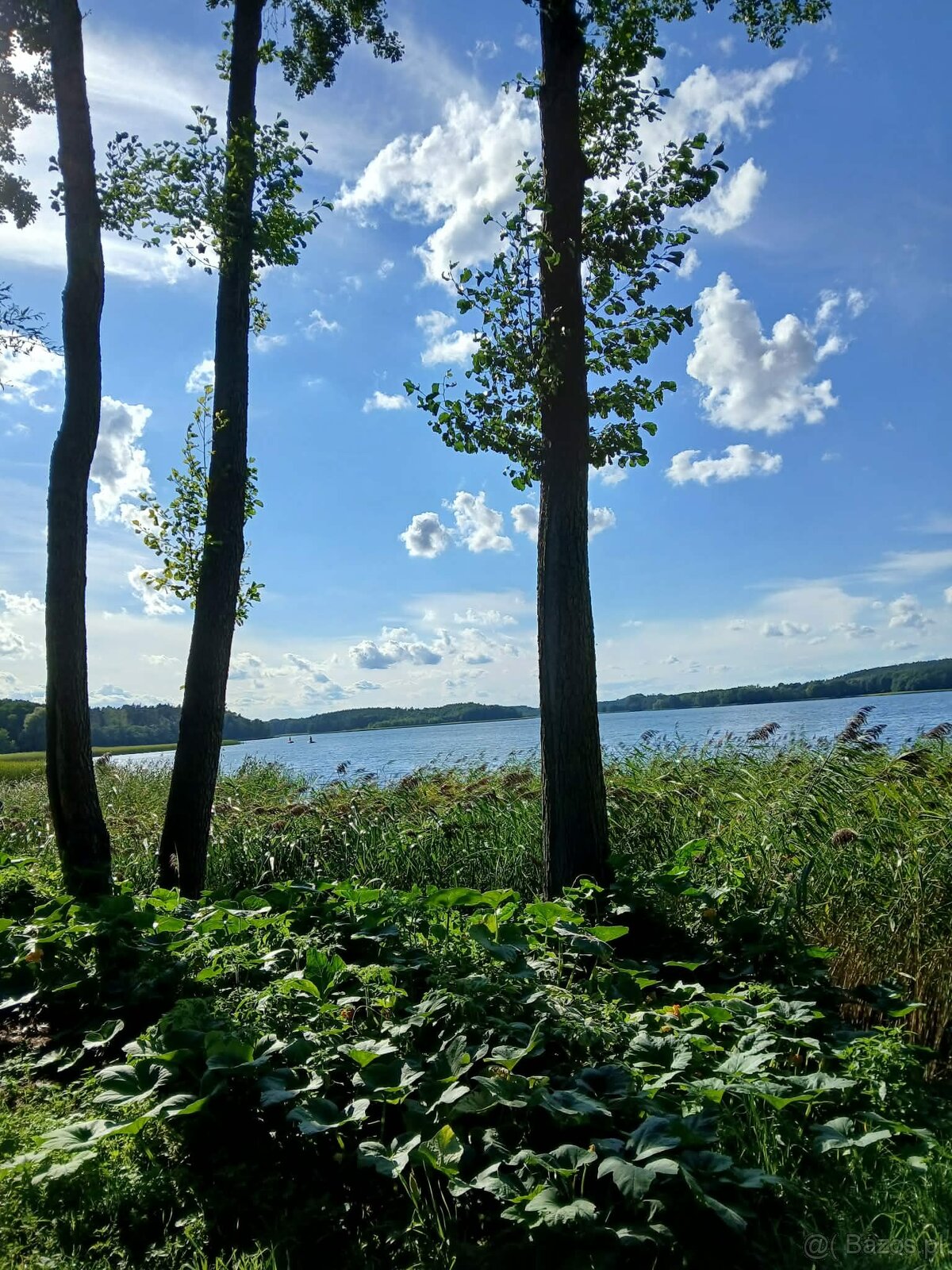 Sprzedam działkę budowlaną - 4