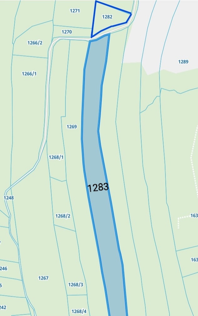 Działki leśne w Lipnicy Dolnej - 6 hektarów - 4