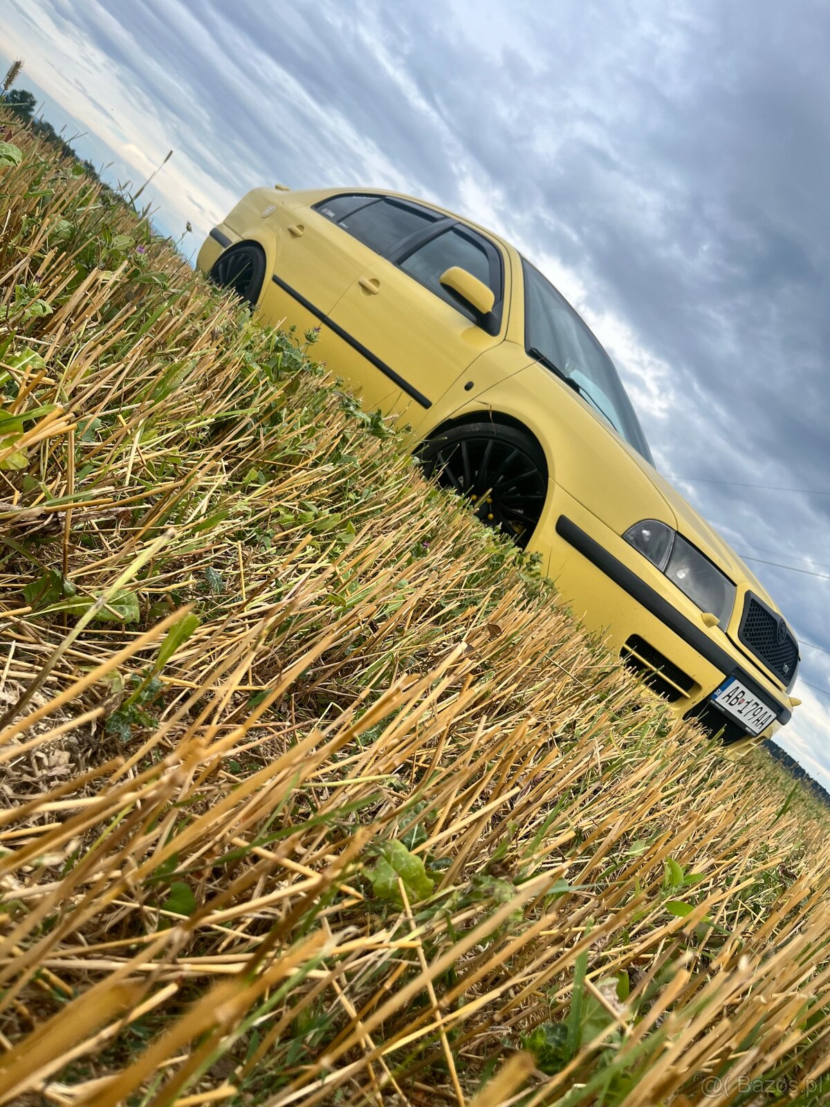 Octavia 1 rs - 4