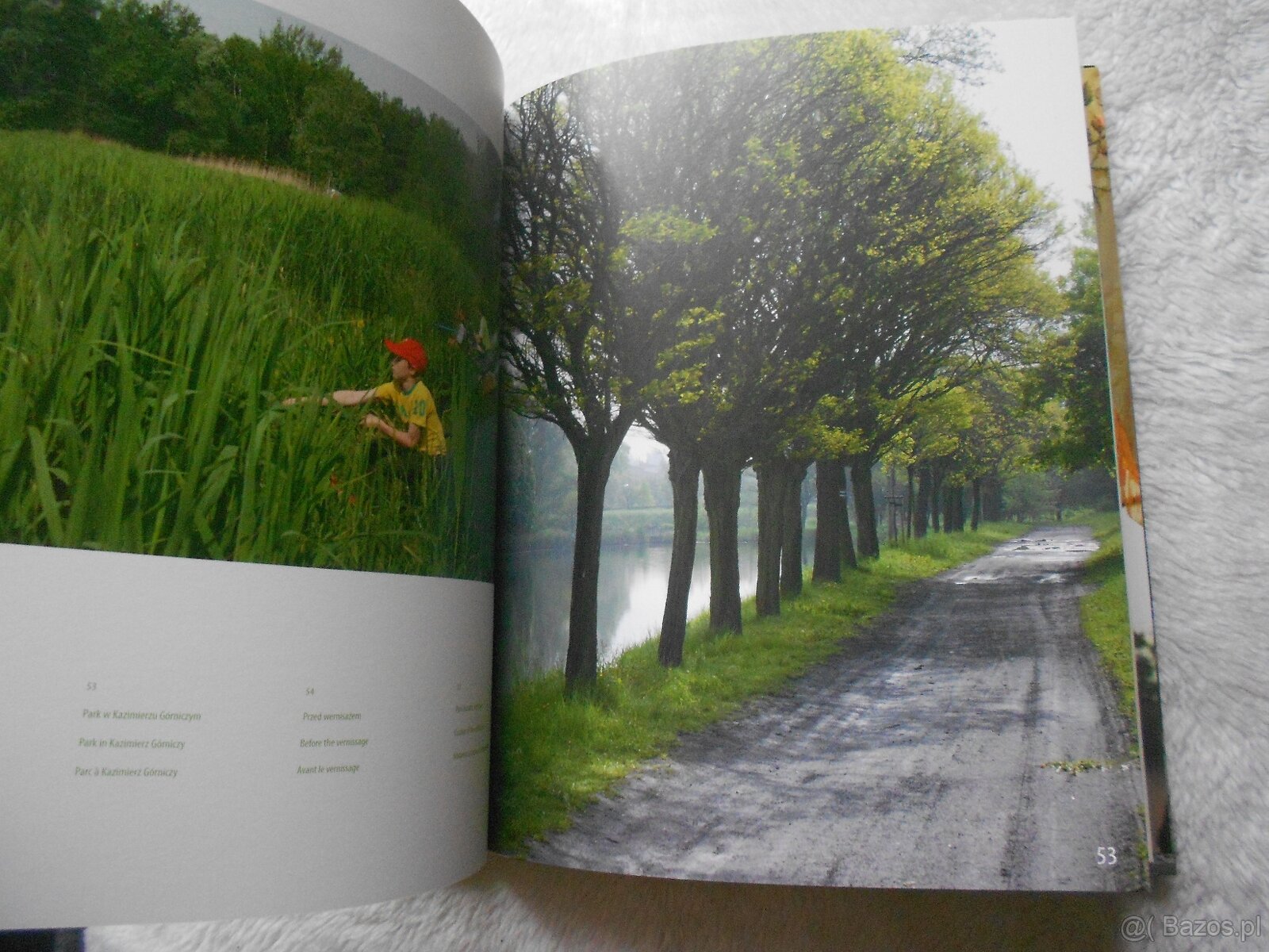 genealog.-heraldyczne ... szlachta ciesynska ... - 4