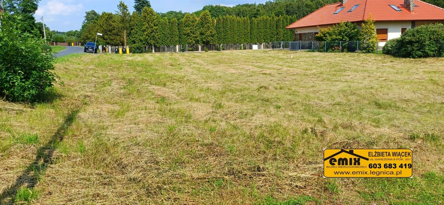 Działka budowlana w Jerzmanowicach k. Chojnowa - 4