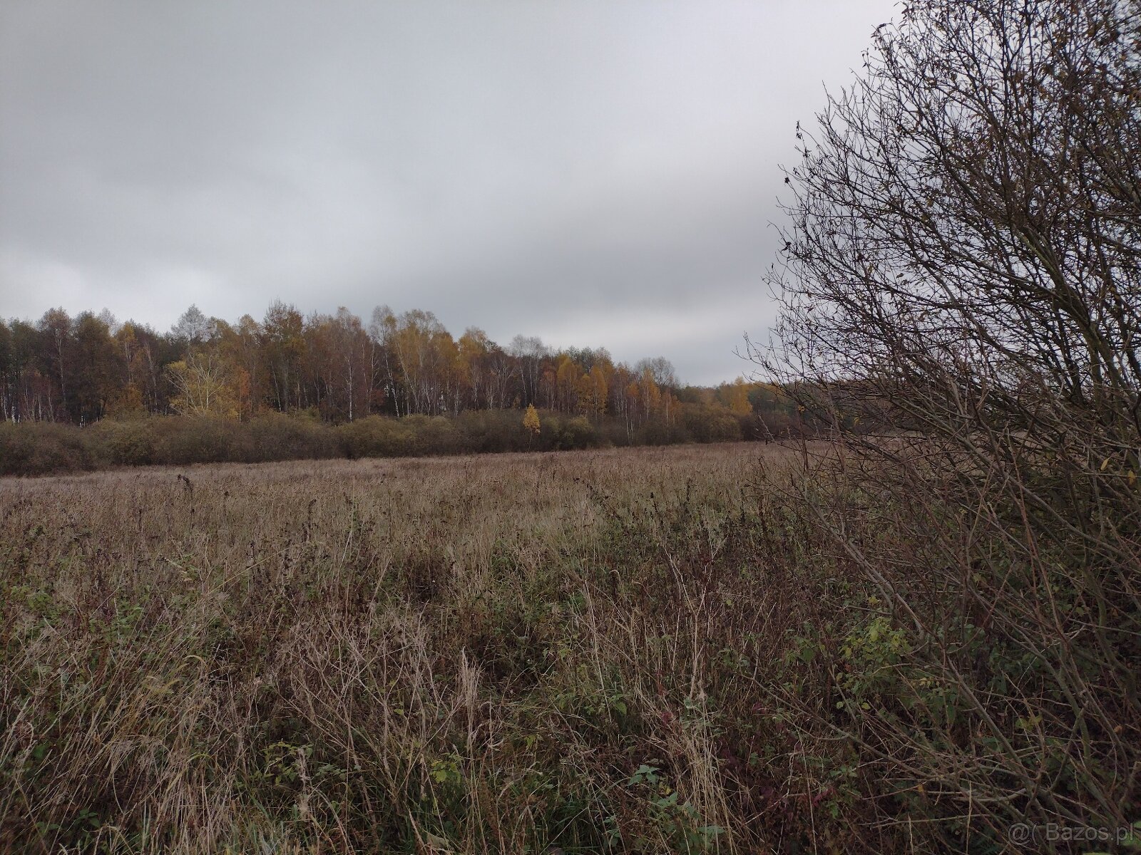 Sprzedaz dzialki - 4