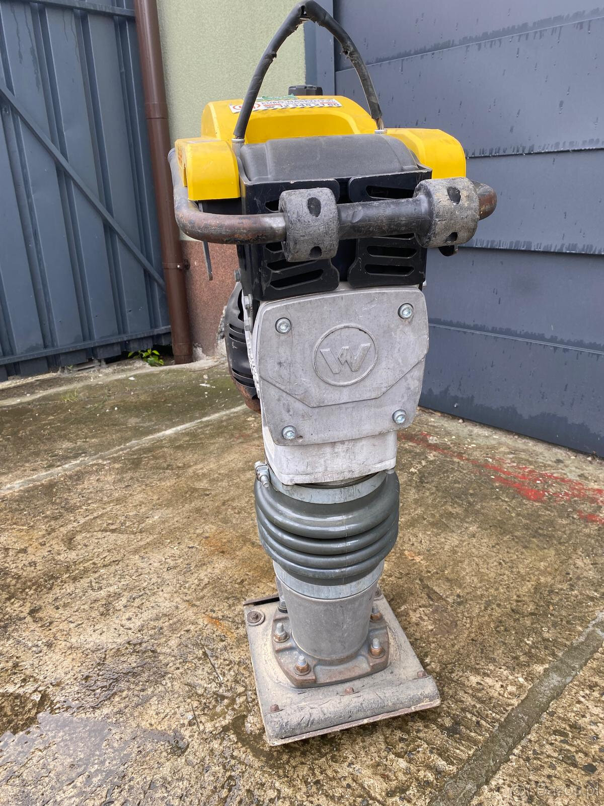 Ubijak wibracyjny / Skoczek Wacker Neuson BS 60-2 (Rok 2023) - 4