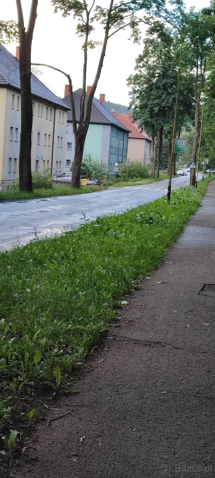 mieszkanie, pokój w Szczytnej - 4