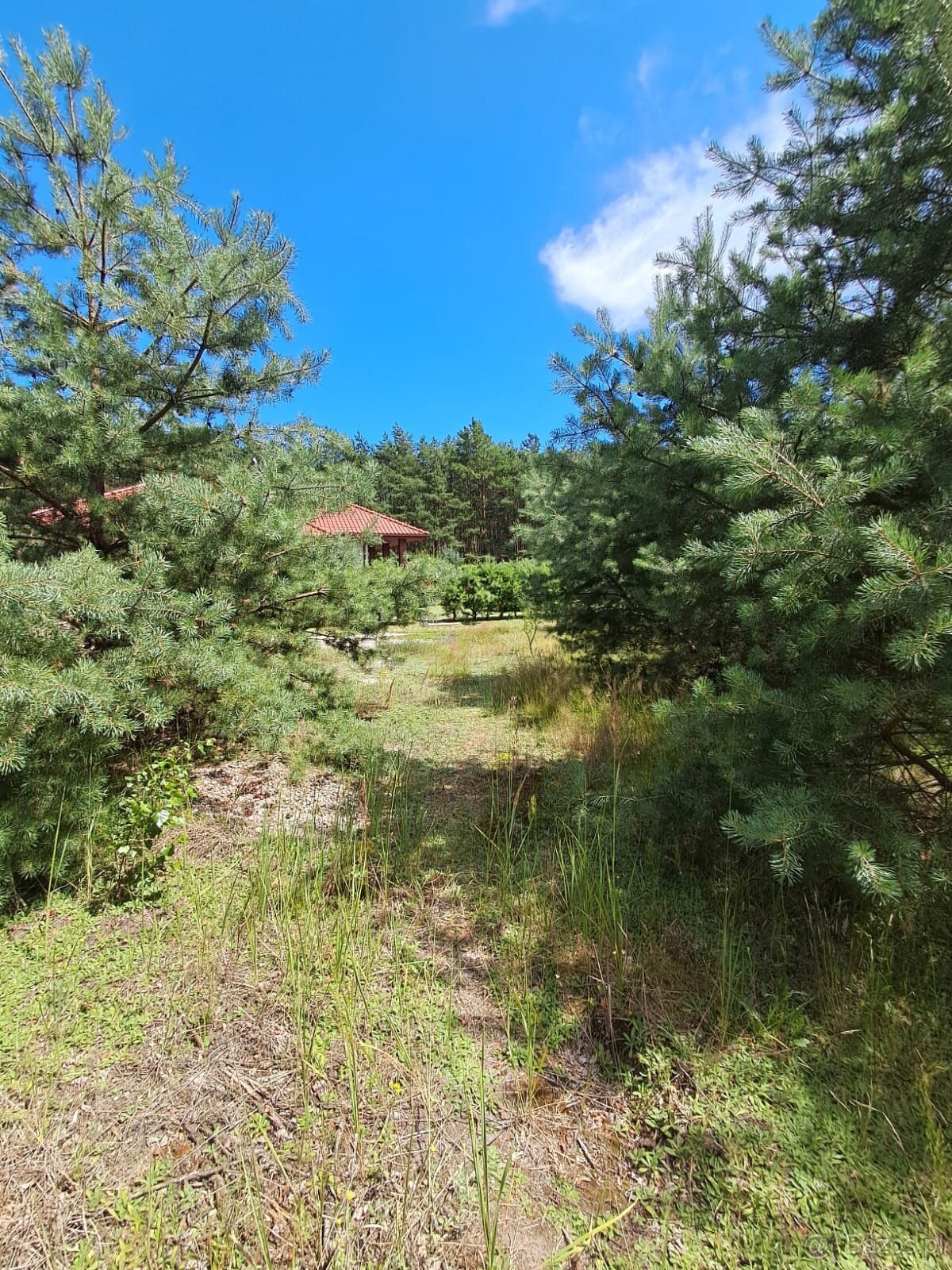 Działka budowlana o powierzchni 1686 m2, Prażuchy Nowe - 4