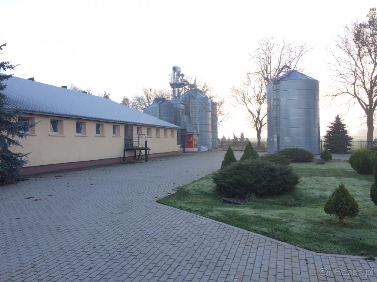 Sprzedam Gospodarstwo Rolne 126 ha - 4